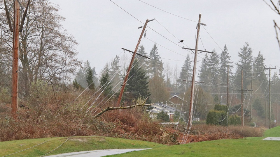 trees fallen on powerlines in Greater Vancouver